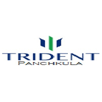 Project Logo